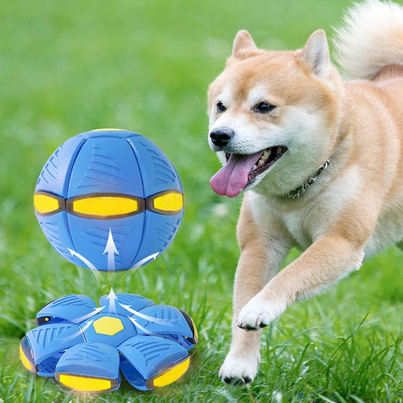 Magic UFO Deformation Rebound Stomp Ball Outdoor Flying Saucer Ball for Dogs Pet Toy Decompression Gift Parent-child Interactive