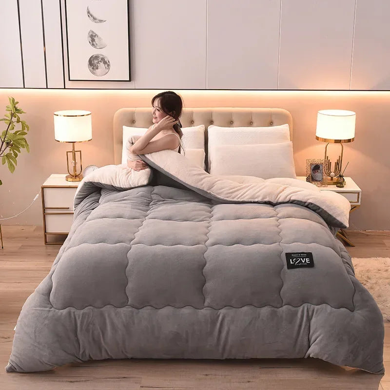 New Super Warm Lamb Wool Quilt Winter Thickened Cotton Quilt Warm Cotton Double sided Velvet Soft Extra Large Blanket